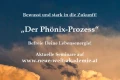 Der Phönix-Prozess 