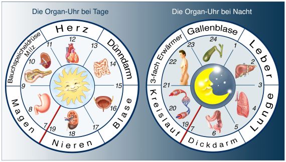 BaBlü ganz gesund GmbH  7